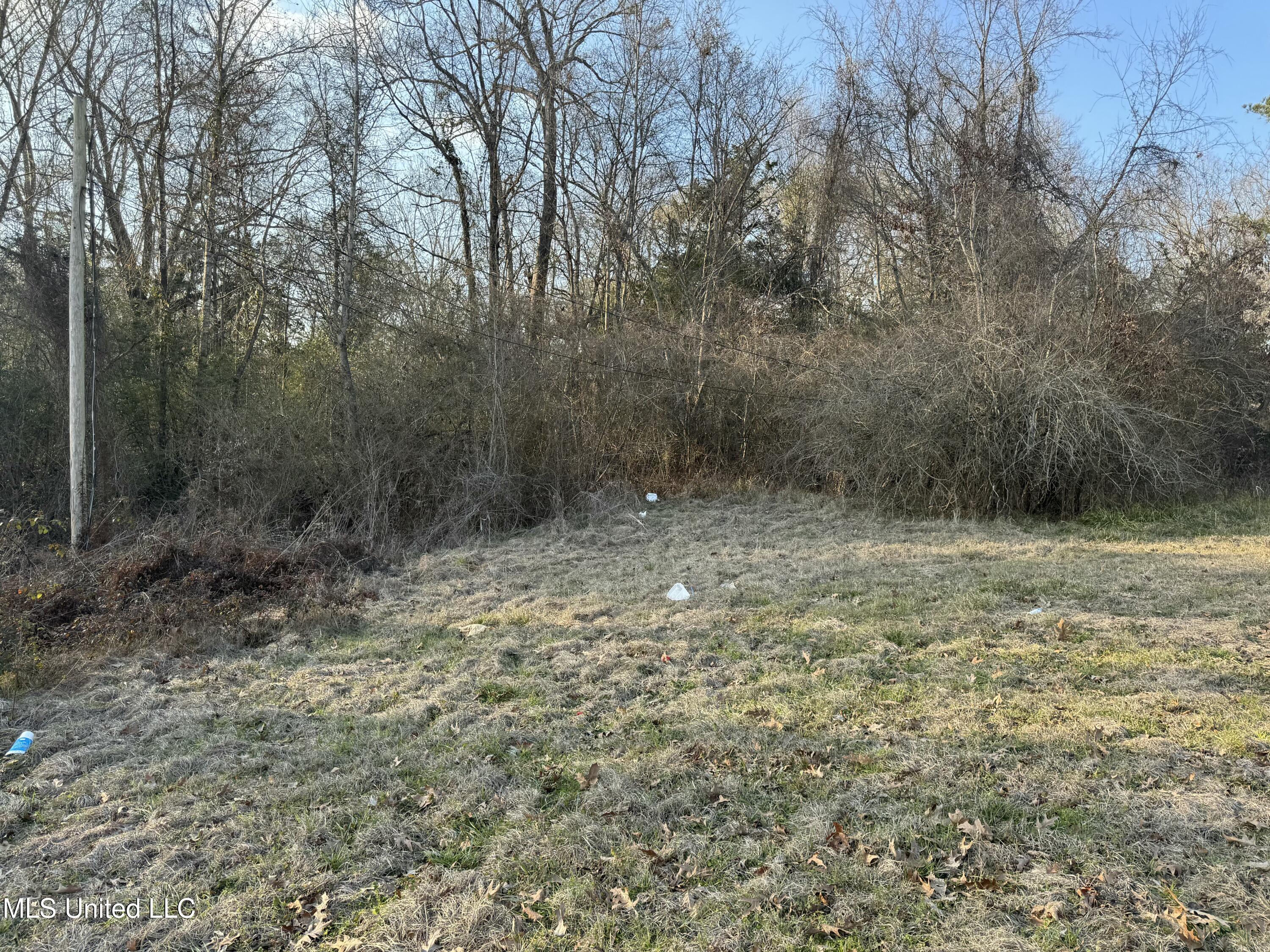106 Brooks Run Property Photo 11