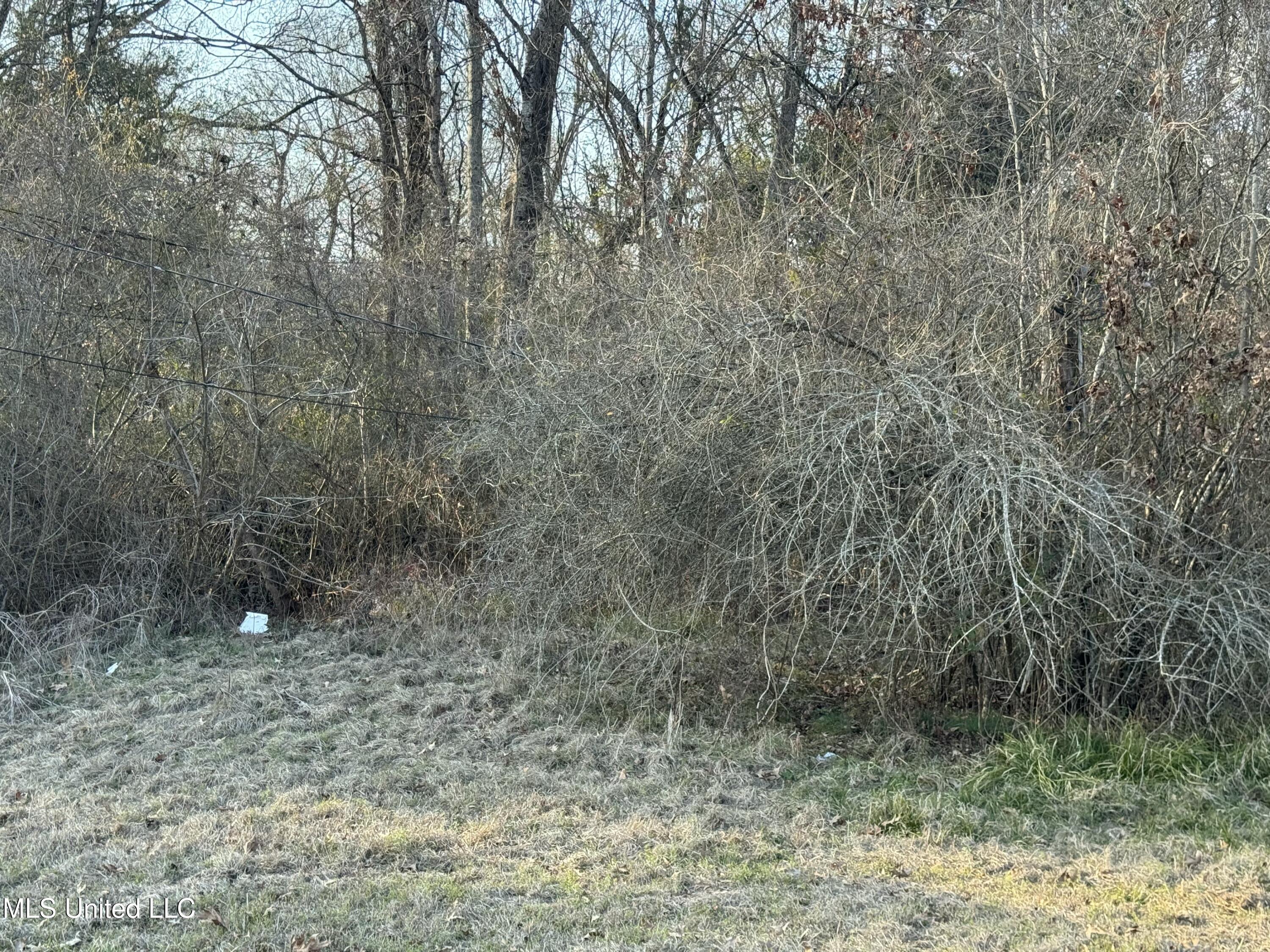106 Brooks Run Property Photo 13