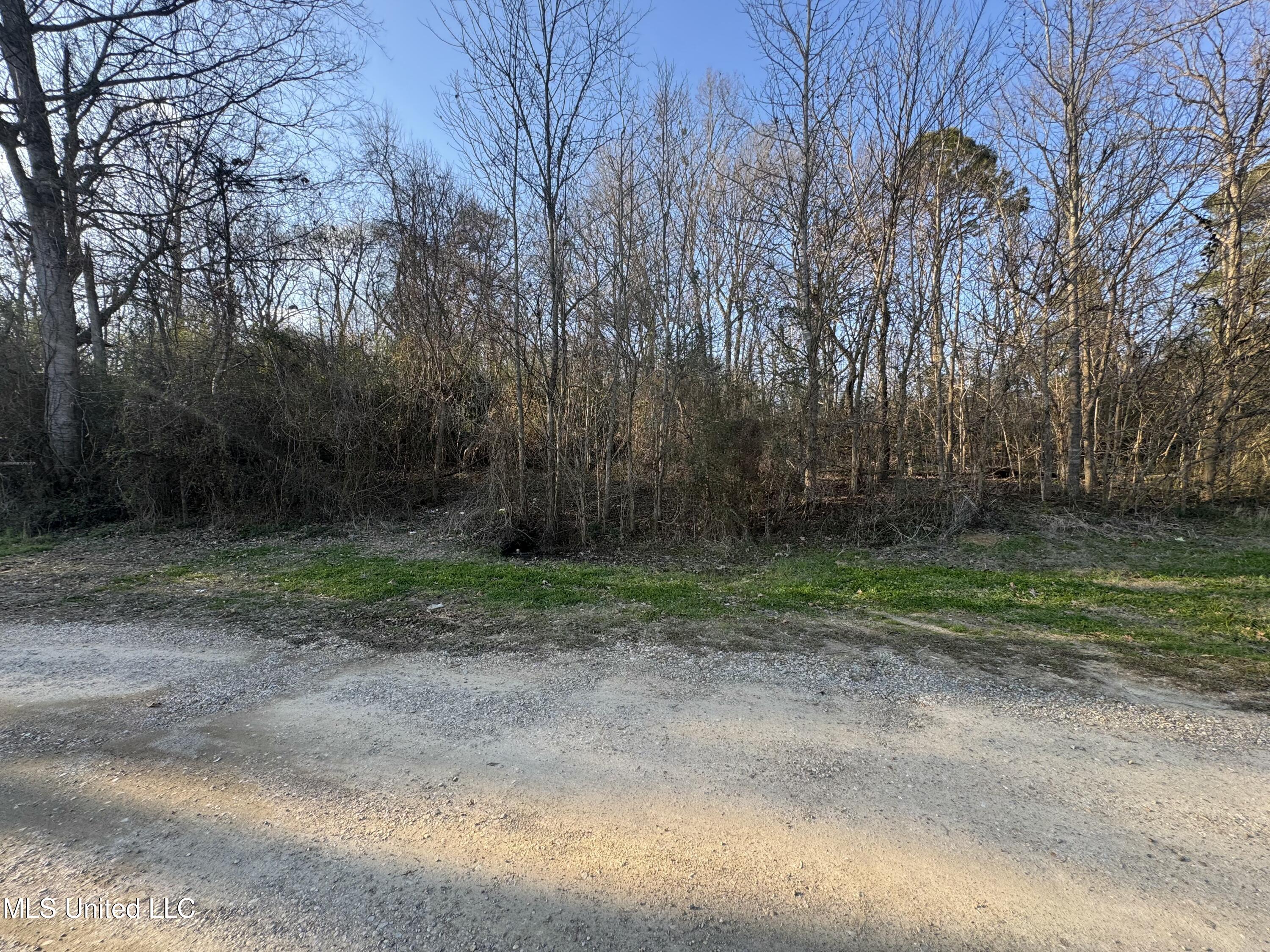 106 Brooks Run Property Photo 14