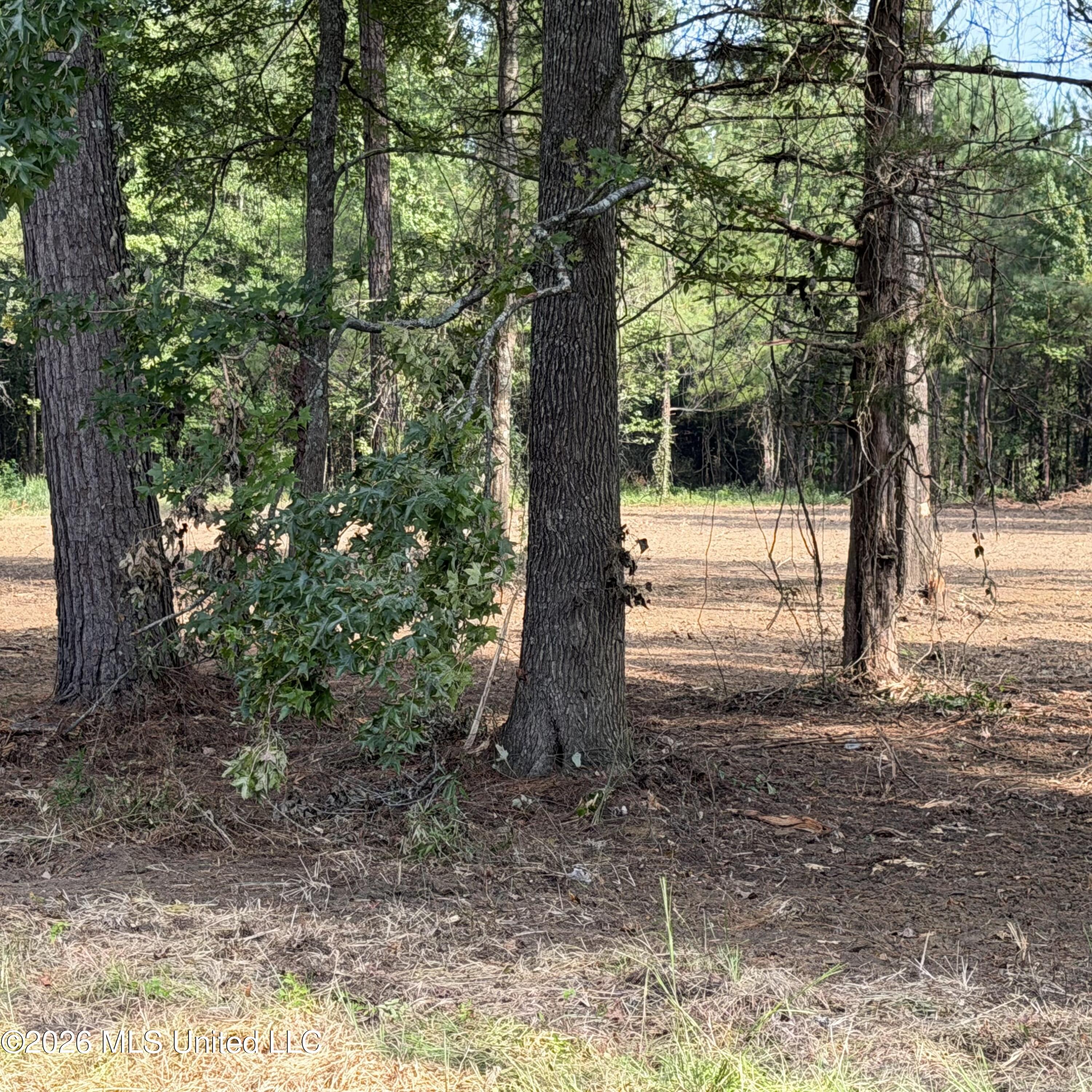 Us-80 Property Photo 3