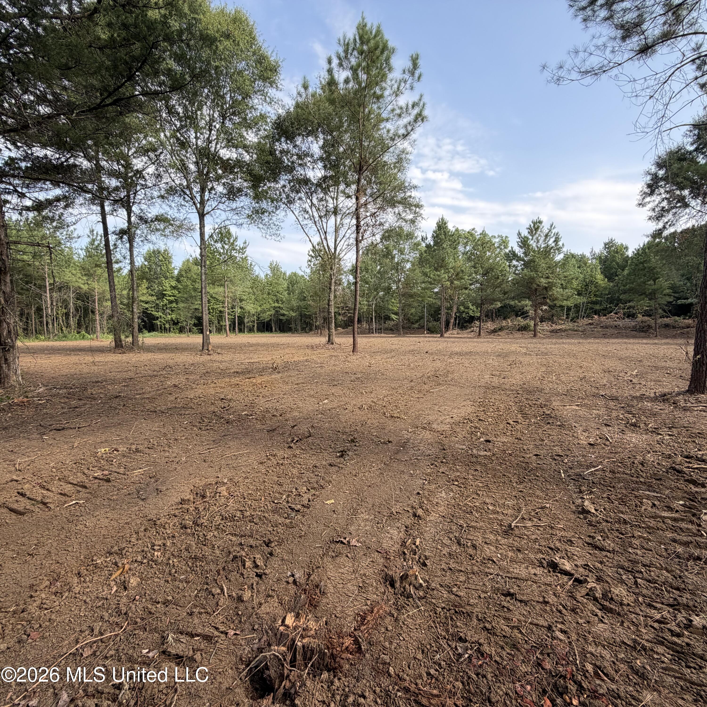 Us-80 Property Photo 4