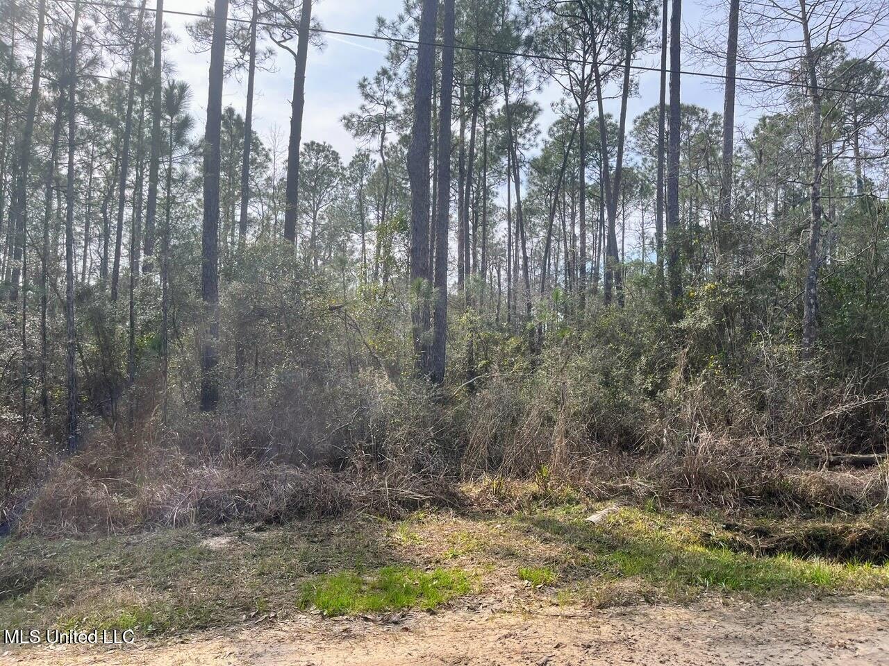 5039 Fig Drive Property Photo 3