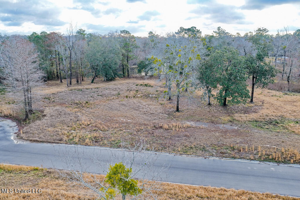 10550 Oneal Road Property Photo 4
