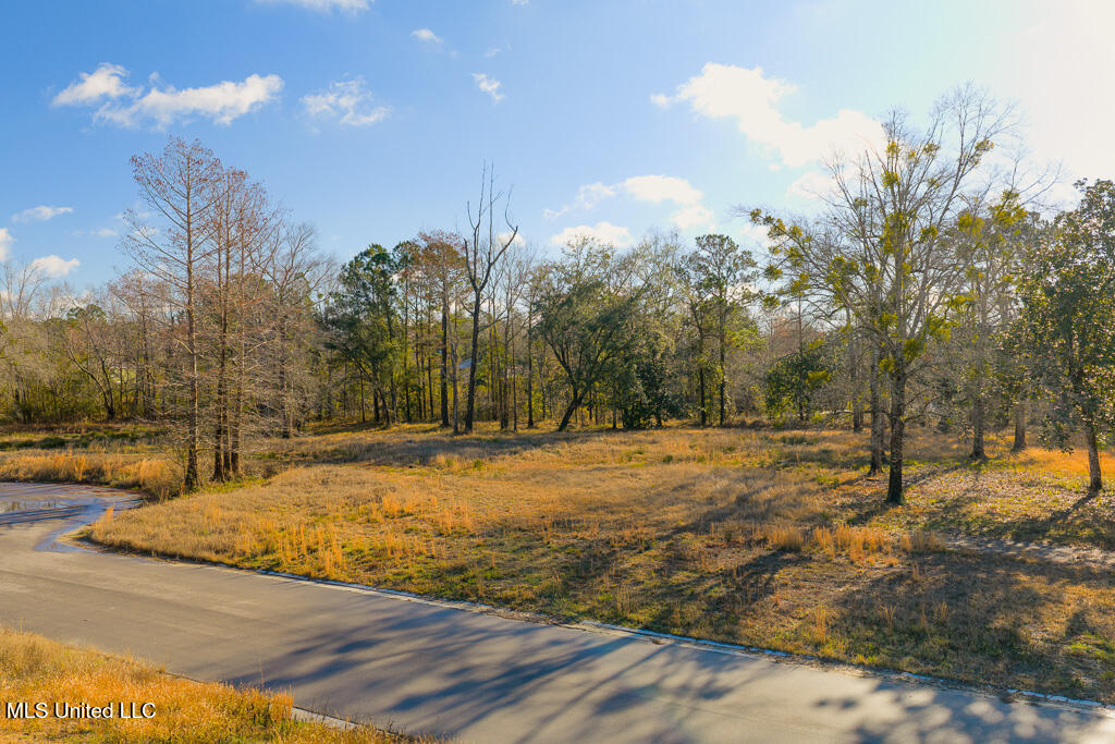 10550 Oneal Road Property Photo 9