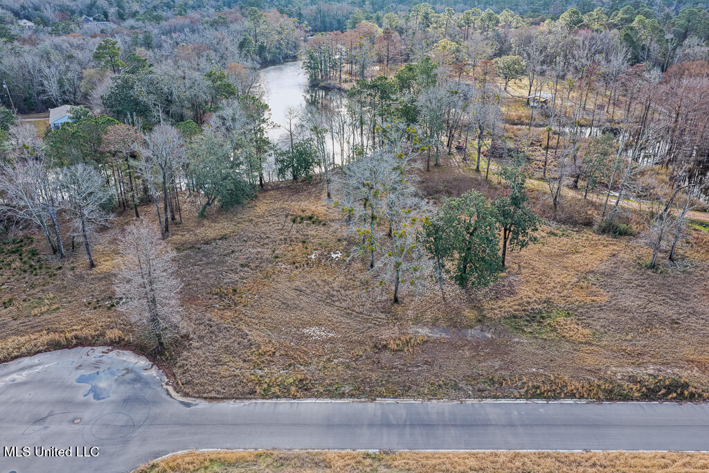 10550 Oneal Road Property Photo 14