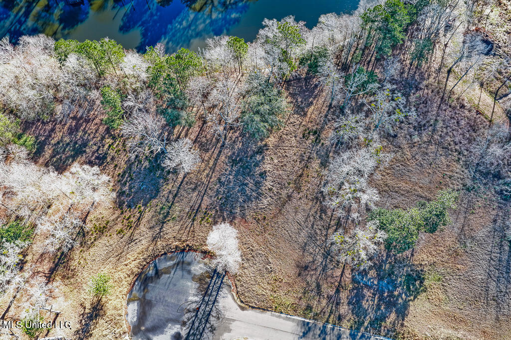 10550 Oneal Road Property Photo 15