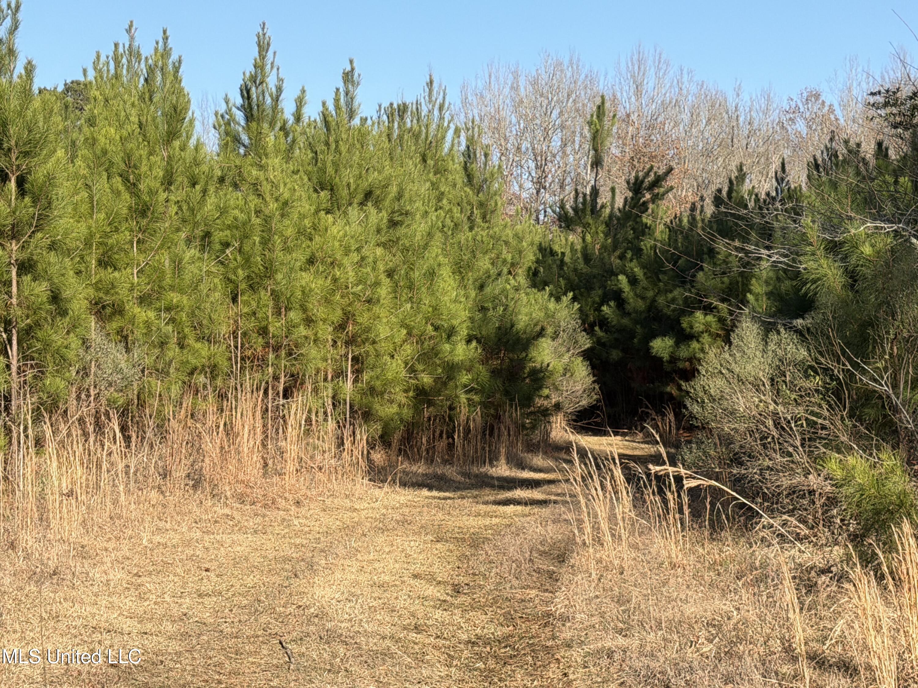 Delancey Road Property Photo 2