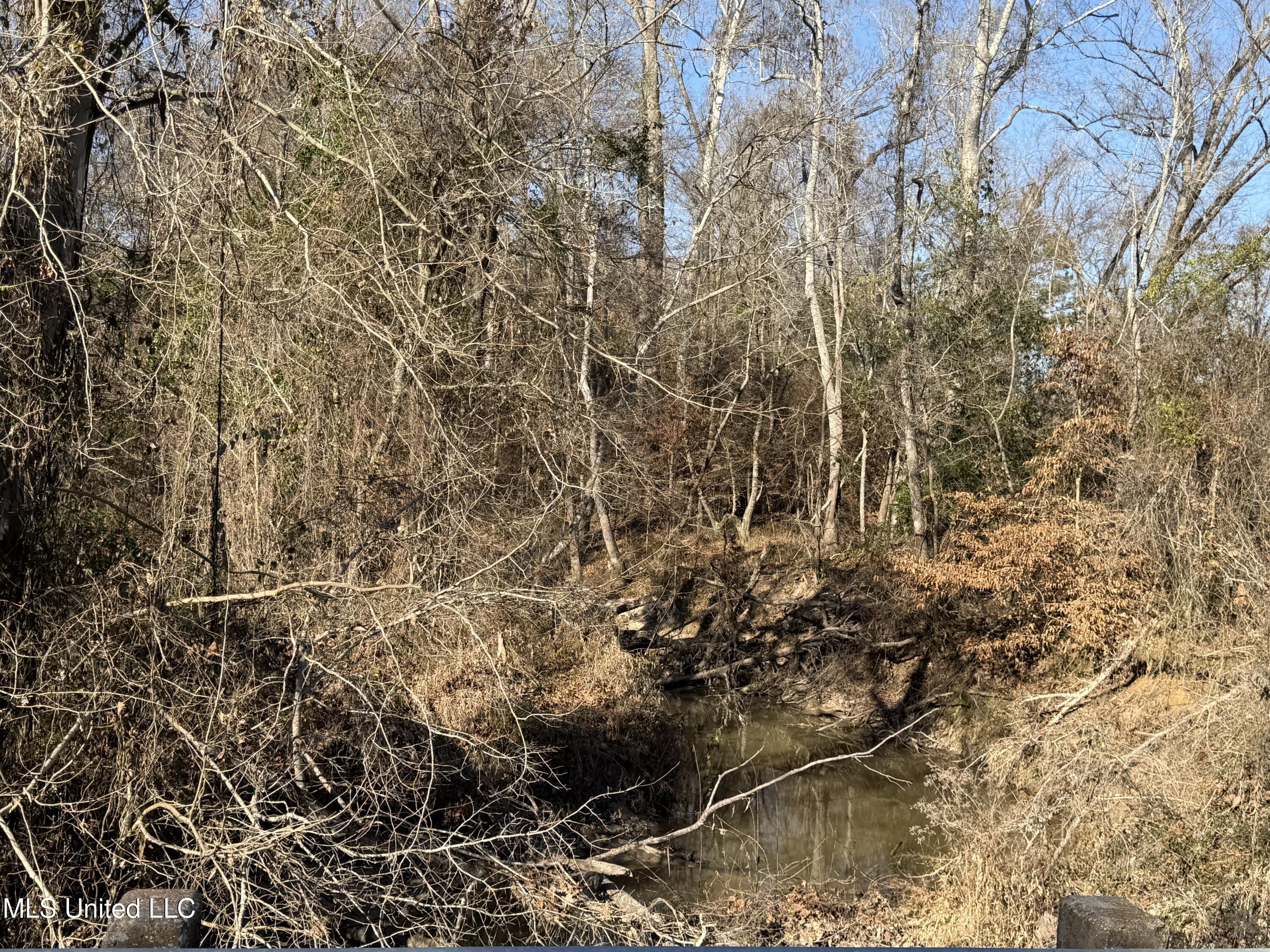 Delancey Road Property Photo 4