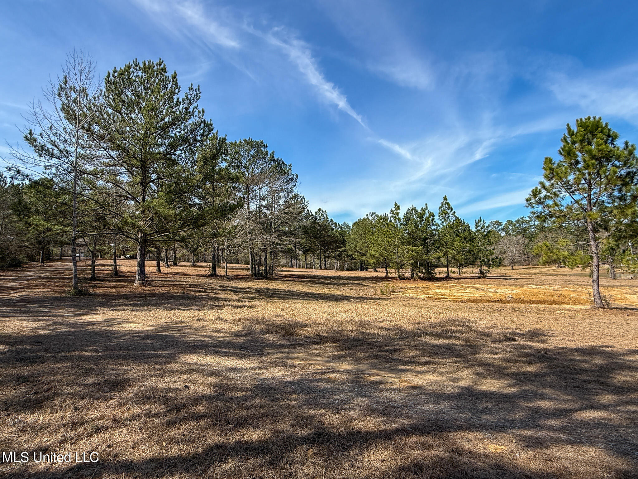 25.7 Ac Highway 49 South Property Photo 2