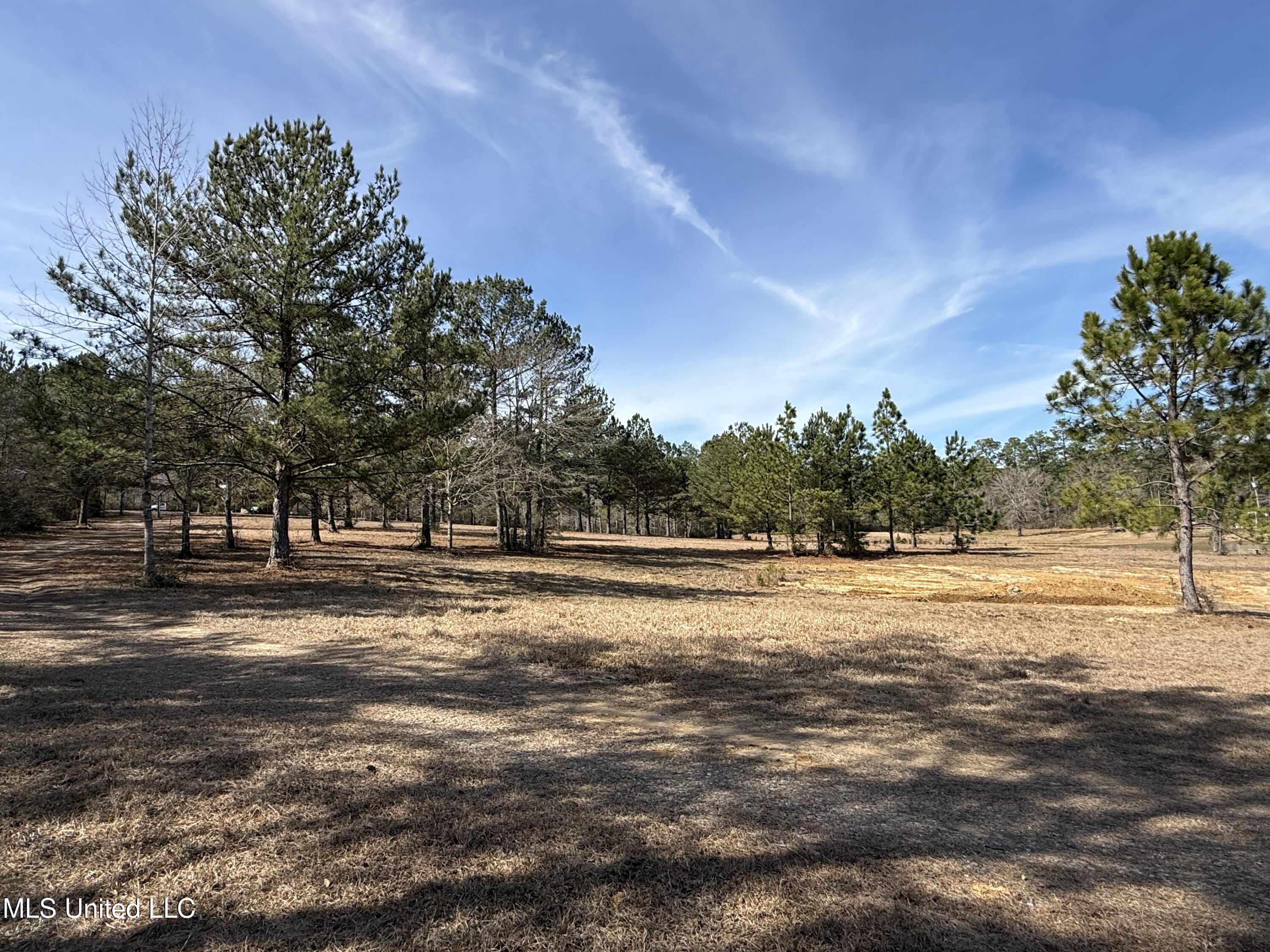 25.7 Ac Highway 49 South Property Photo 7
