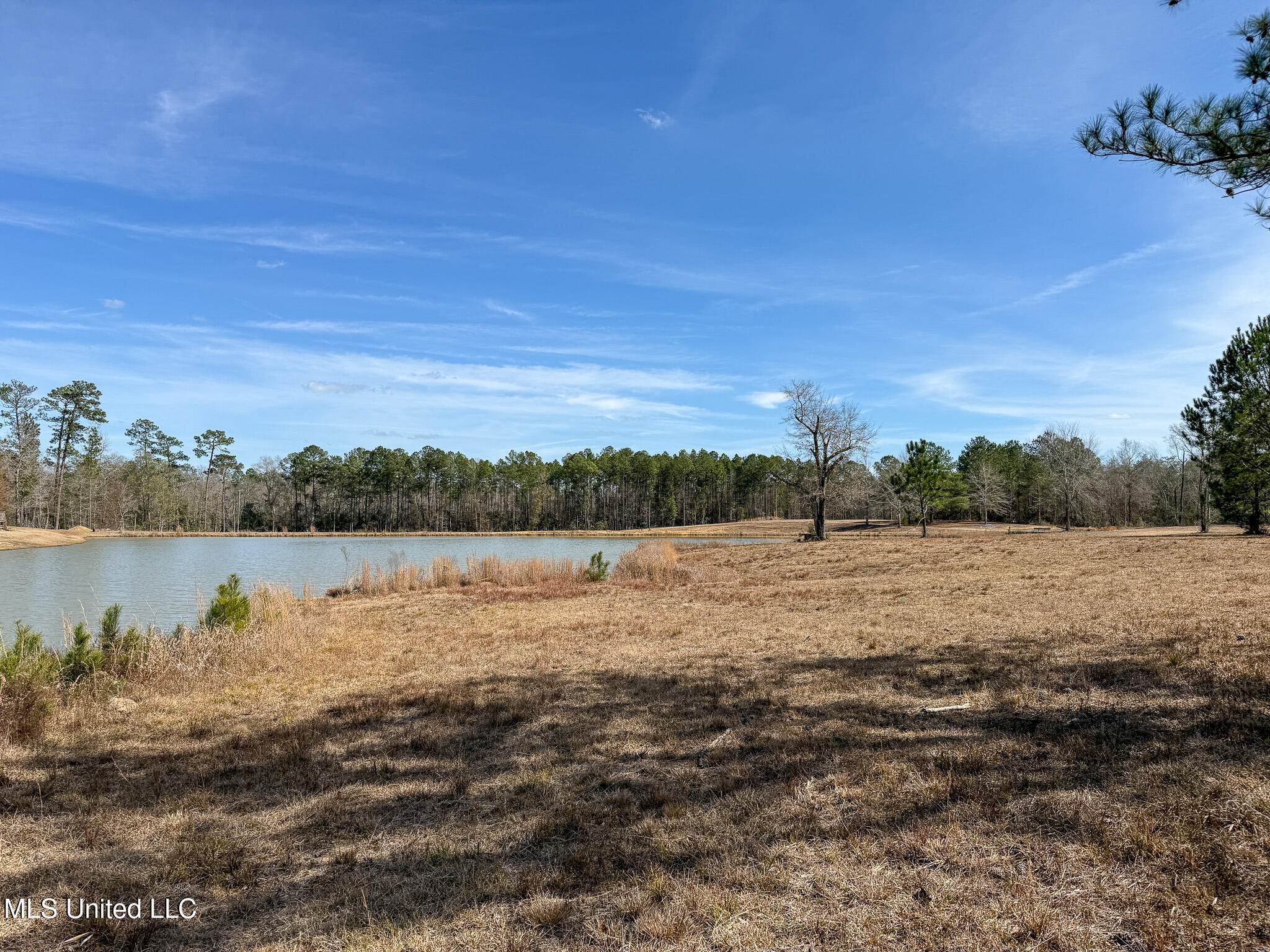 25.7 Ac Highway 49 South Property Photo 8