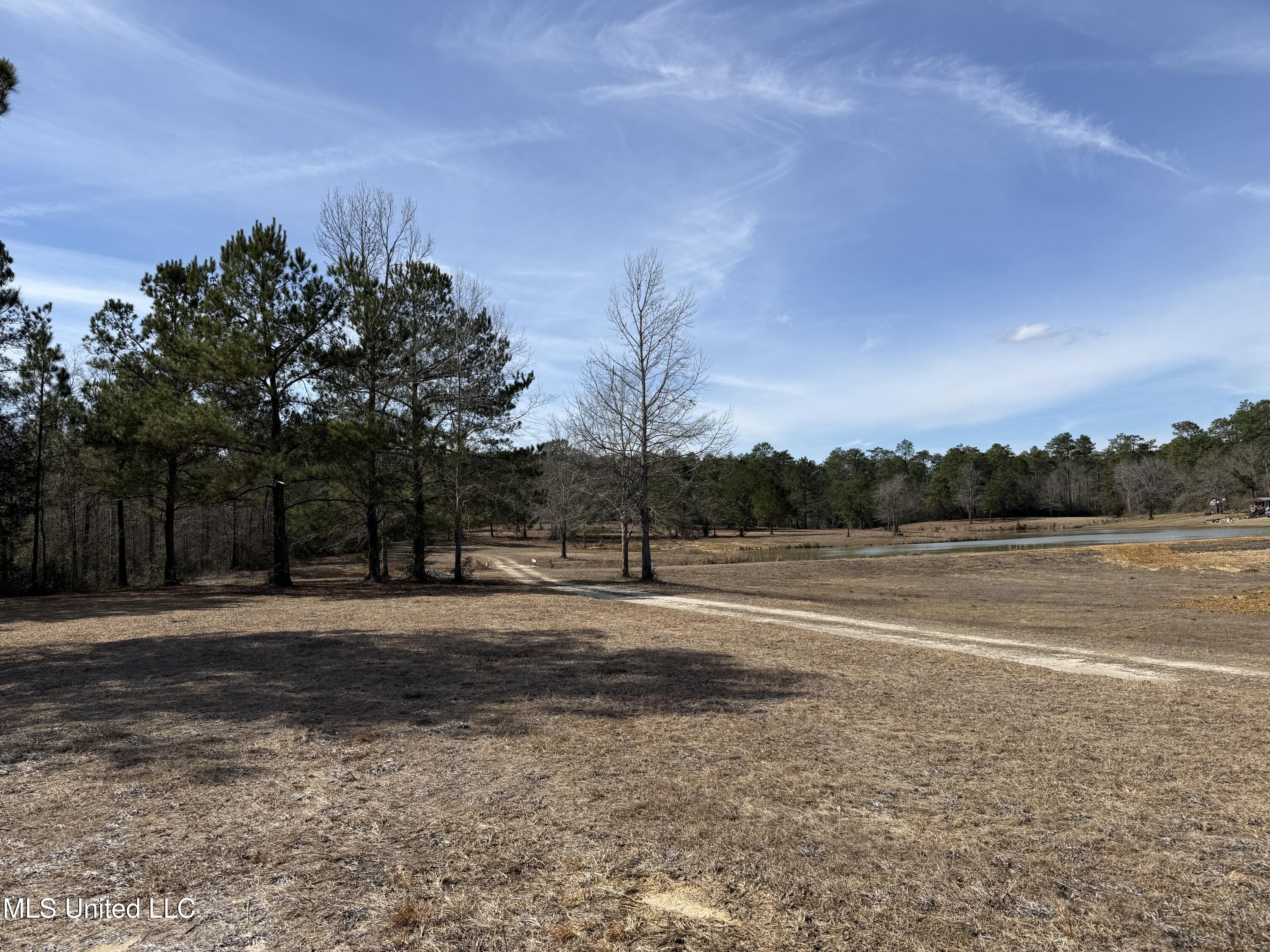 25.7 Ac Highway 49 South Property Photo 13