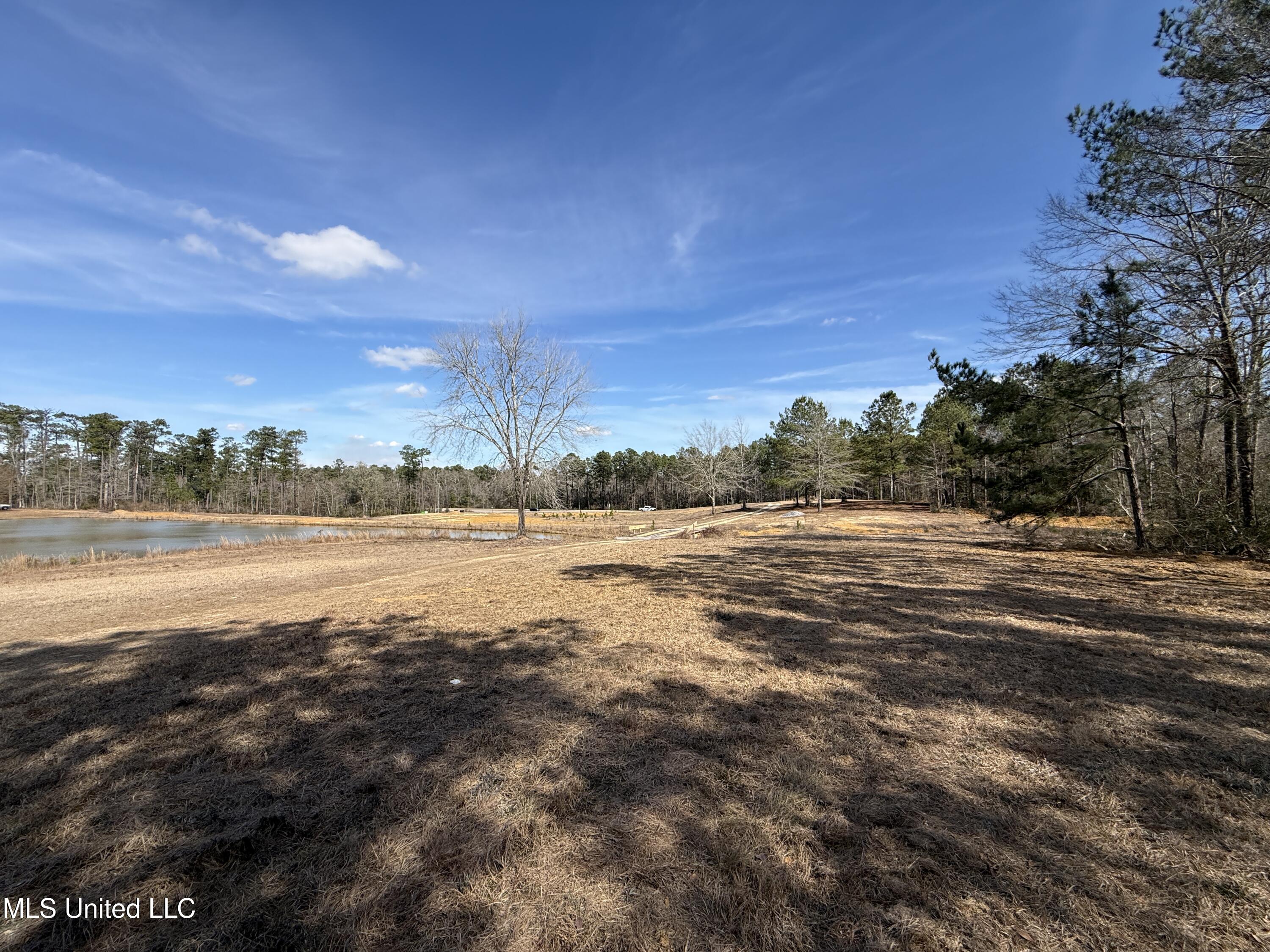 25.7 Ac Highway 49 South Property Photo 15