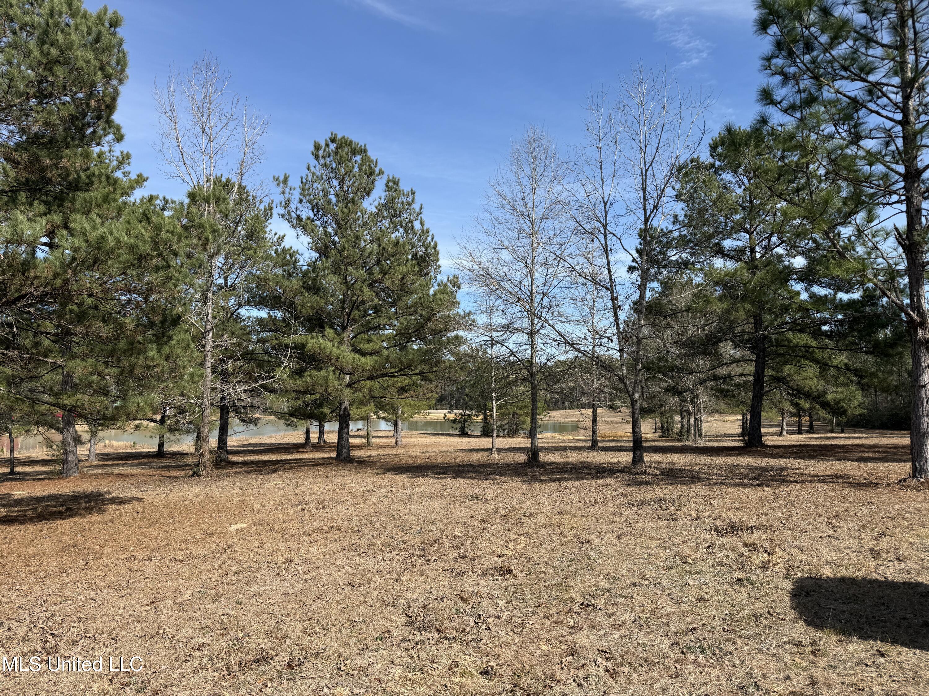 25.7 Ac Highway 49 South Property Photo 16