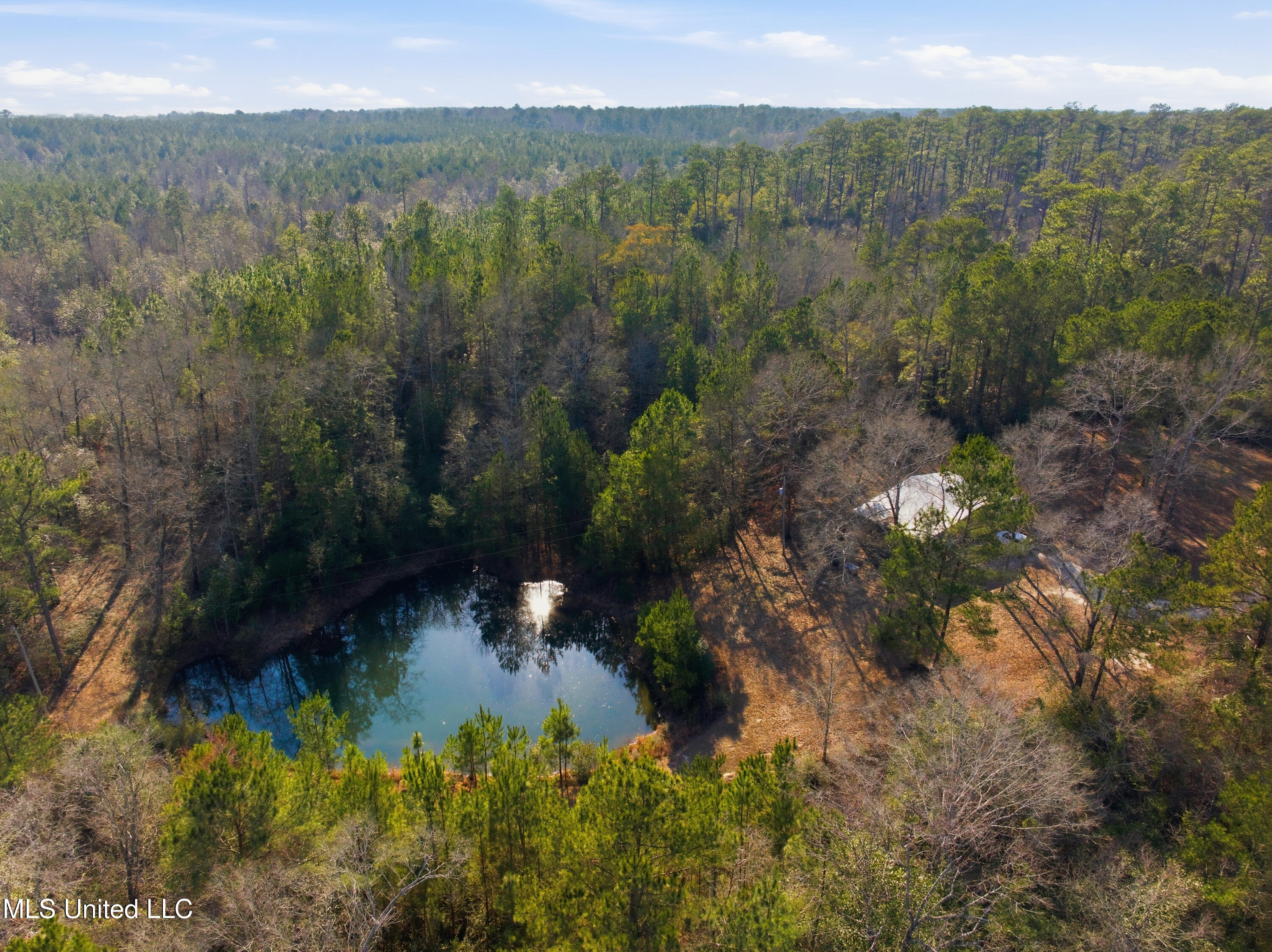 25.7 Ac Highway 49 South Property Photo 19