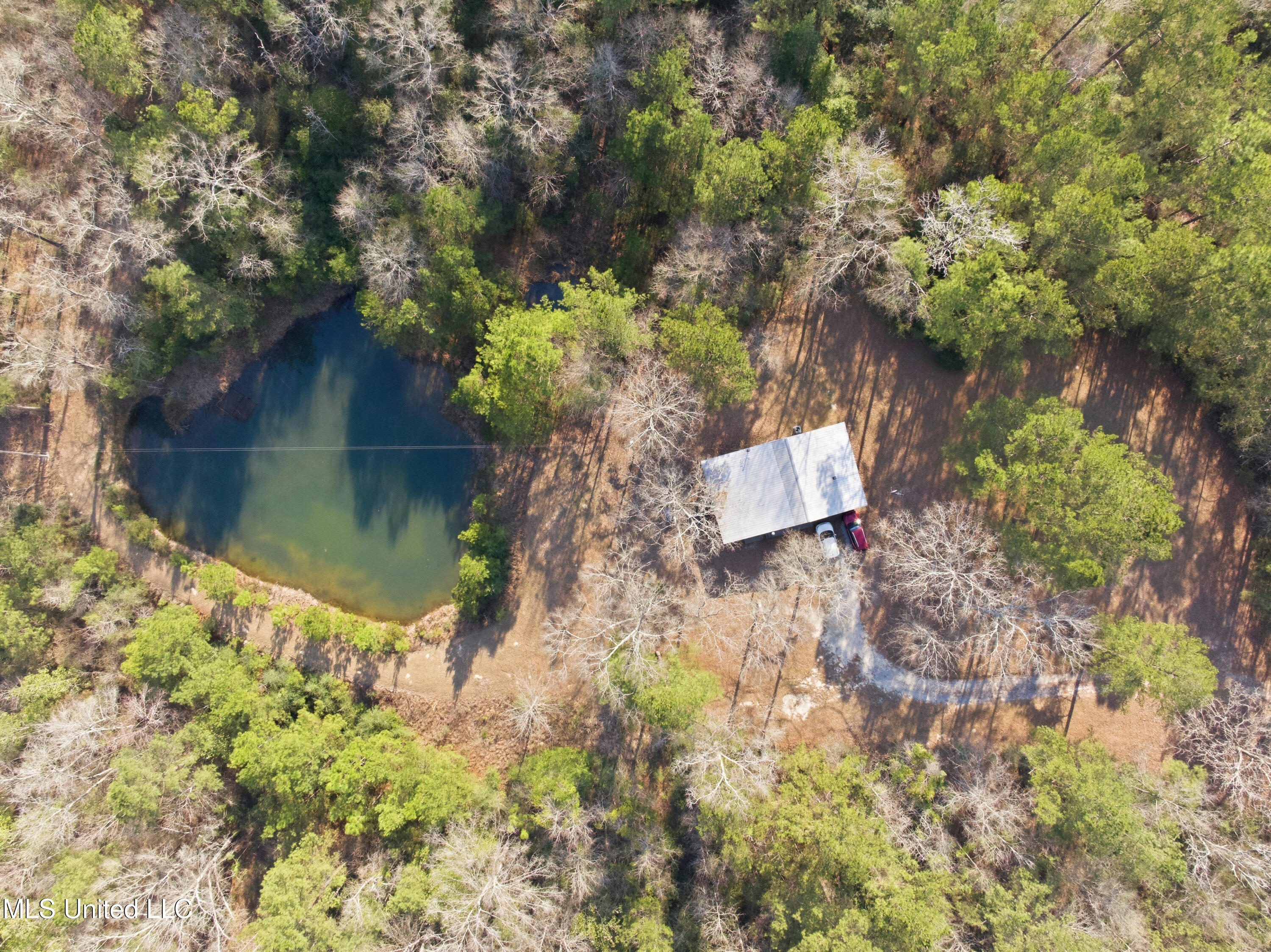 25.7 Ac Highway 49 South Property Photo 20