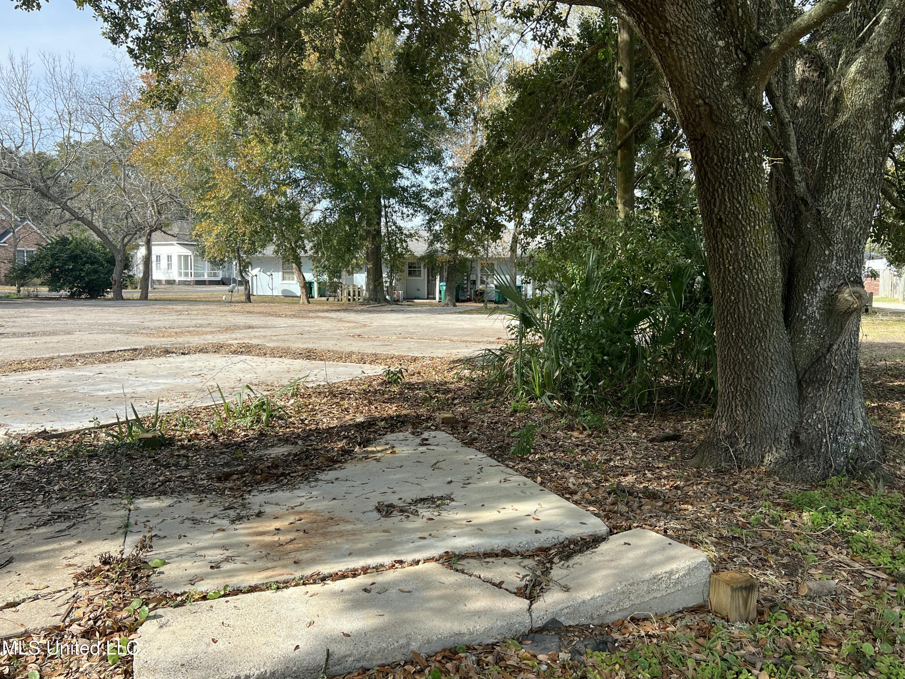 817 Martin Avenue Property Photo 6
