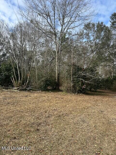 Ms 53 Lot 1 Property Photo 1
