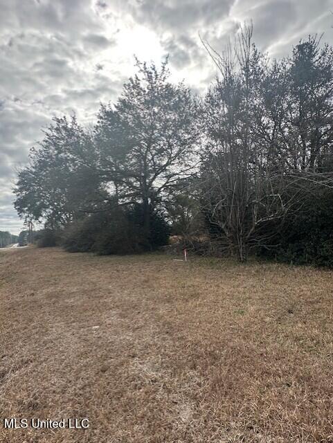Ms 53 Lot 1 Property Photo 4