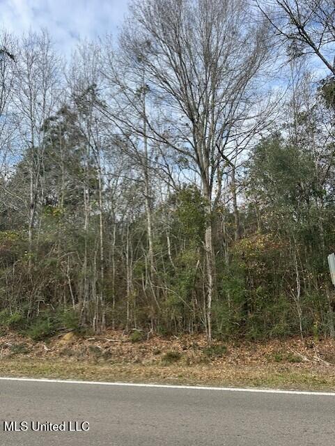 Ms 53 Lot 1 Property Photo 5