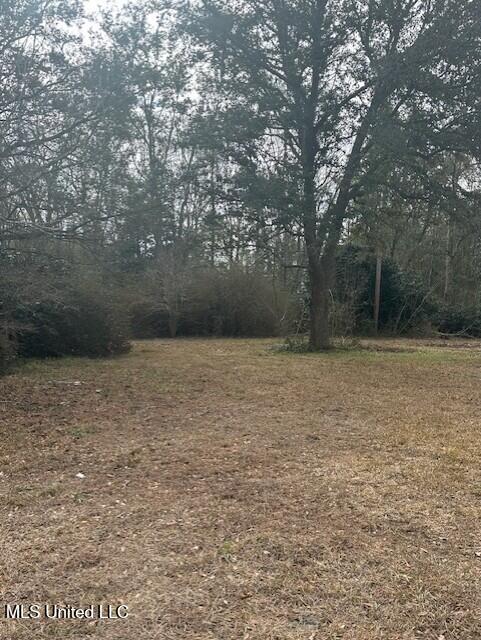 Ms 53 Lot 2 Property Photo 4