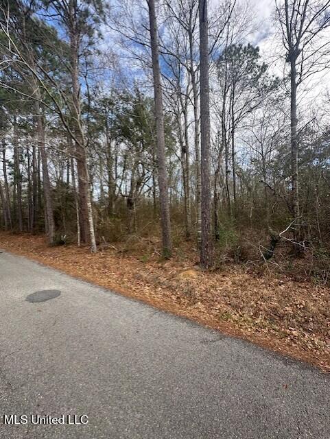 MS 53 Lot 4 Property Photo 1