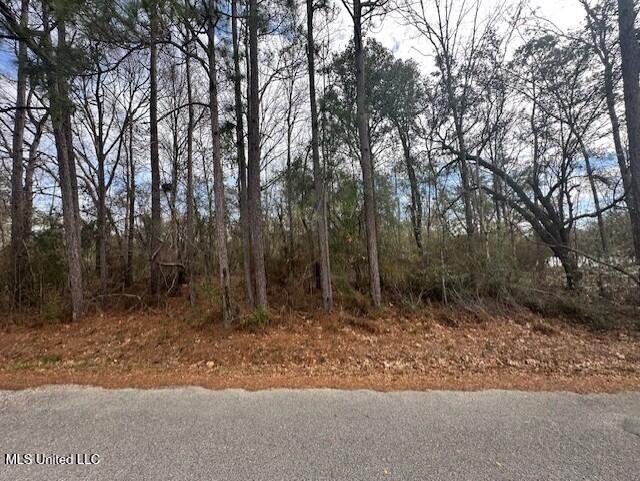 Ms 53 Lot 4 Property Photo 4