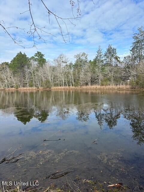Ms 53 Lot 4 Property Photo 6
