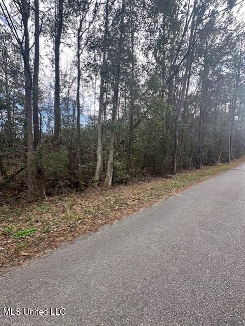 Ms 53 Lot 5 Property Photo 1