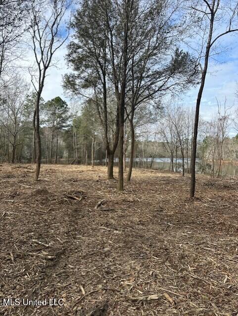 Ms 53 Lot 5 Property Photo 9