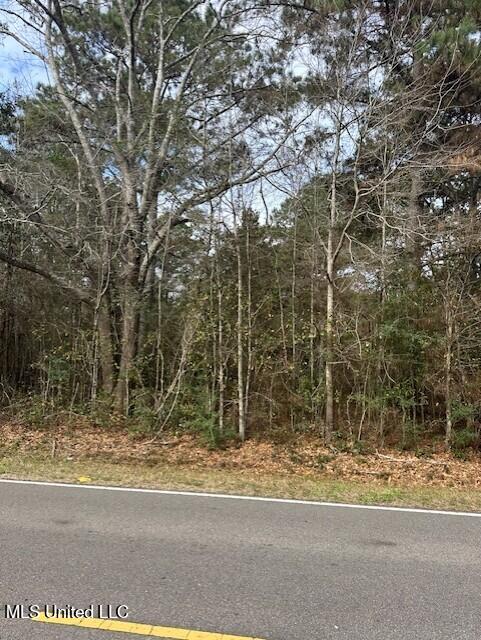 Ms 53 Lot 9 Property Photo 1