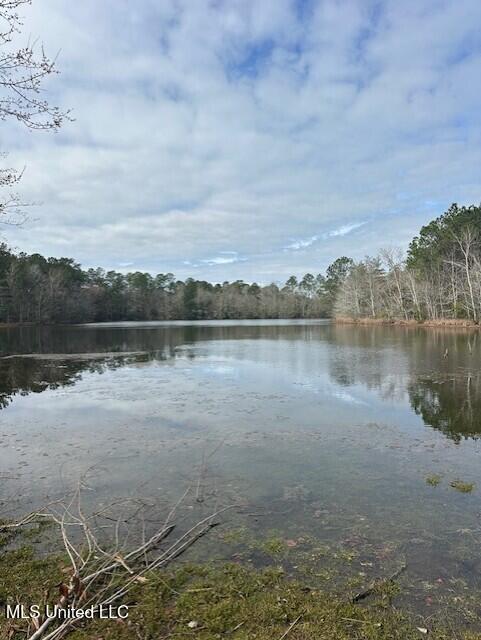 Ms 53 Lot 9 Property Photo 4