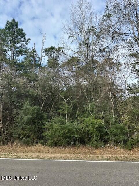 Ms 53 Lot 10 Property Photo 1