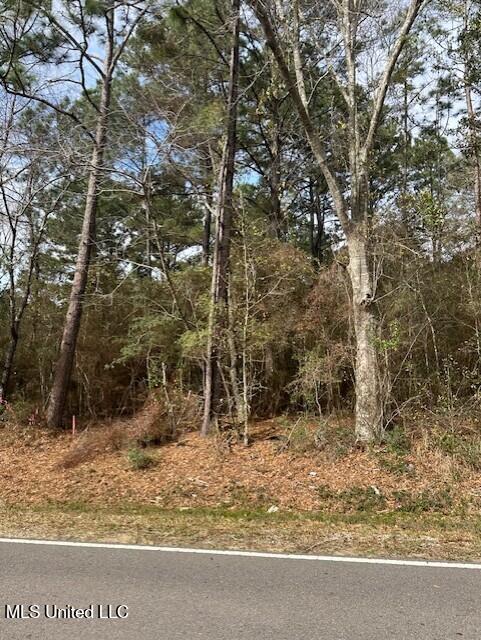 Ms 53 Lot 13 Property Photo 1
