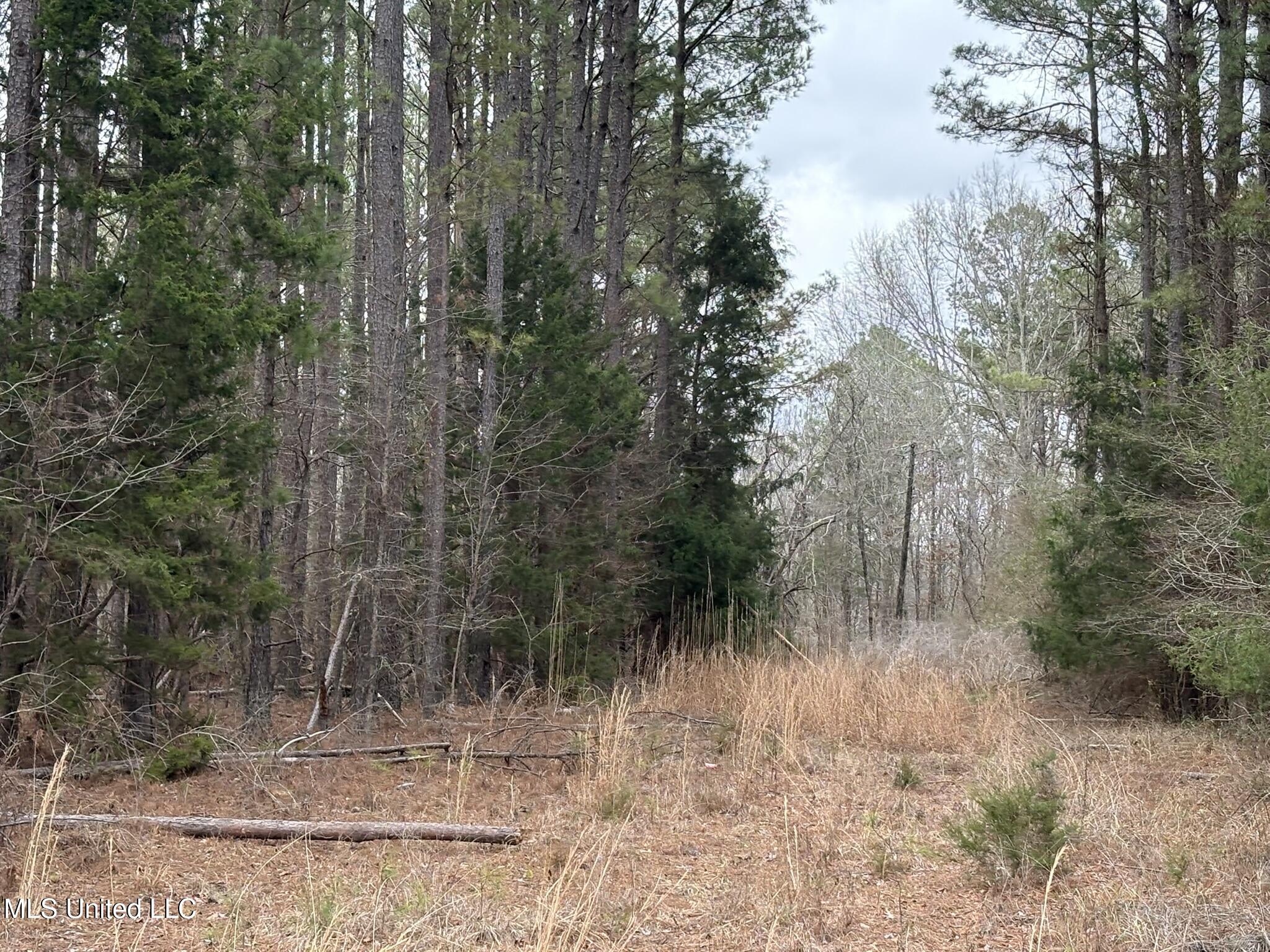 County Road 2211 Property Photo 1