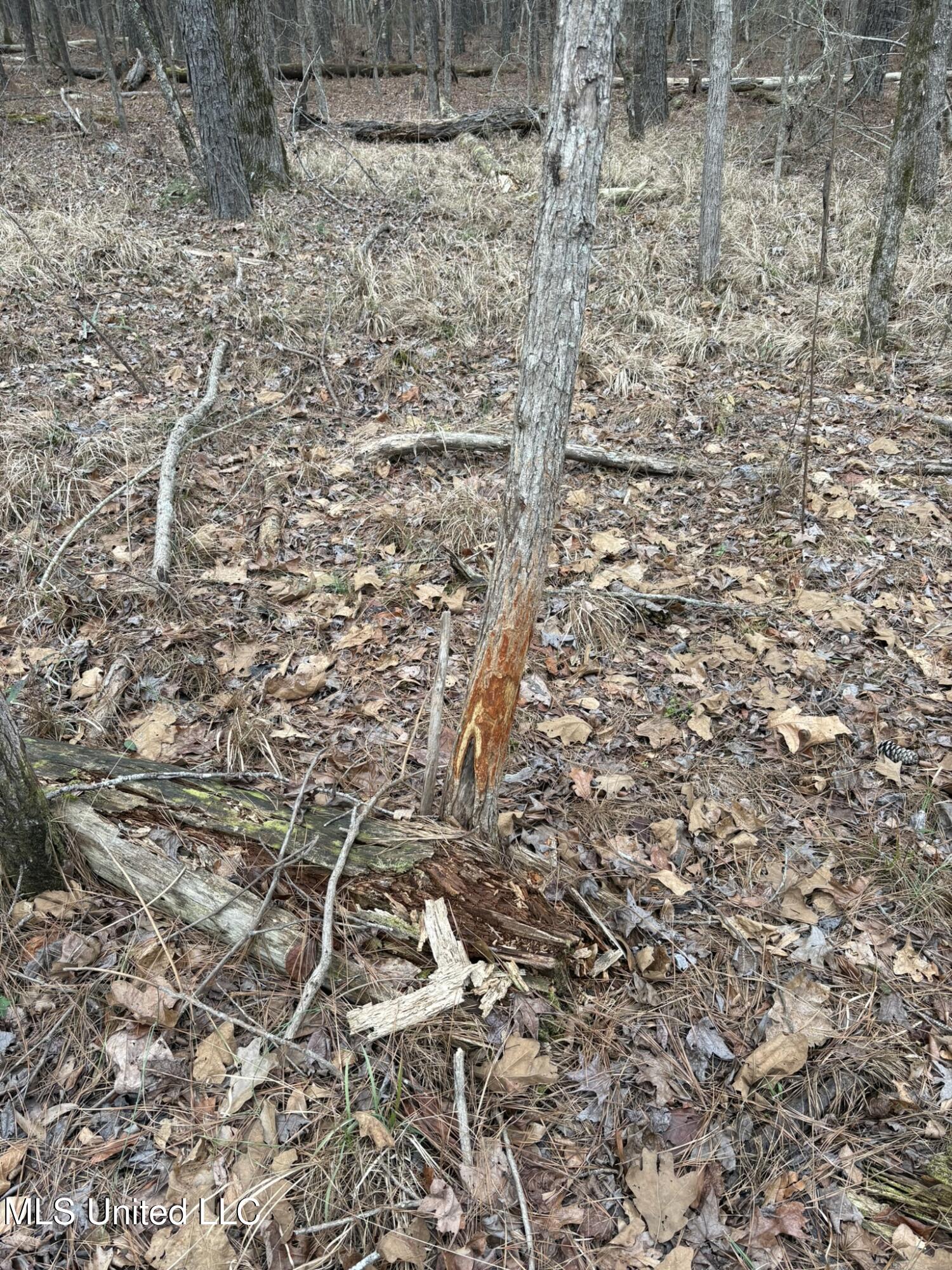 County Road 2211 Property Photo 2