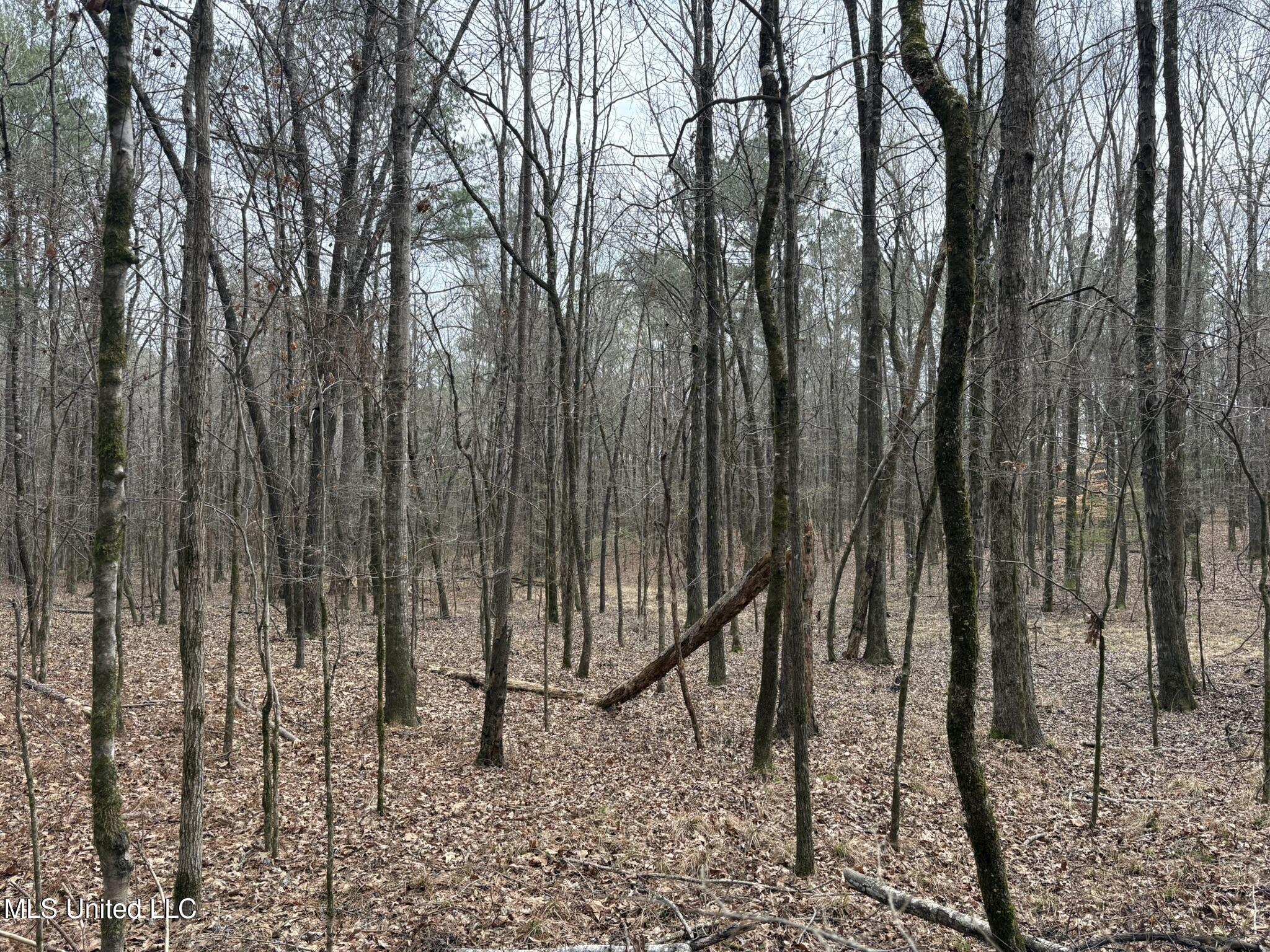 County Road 2211 Property Photo 3