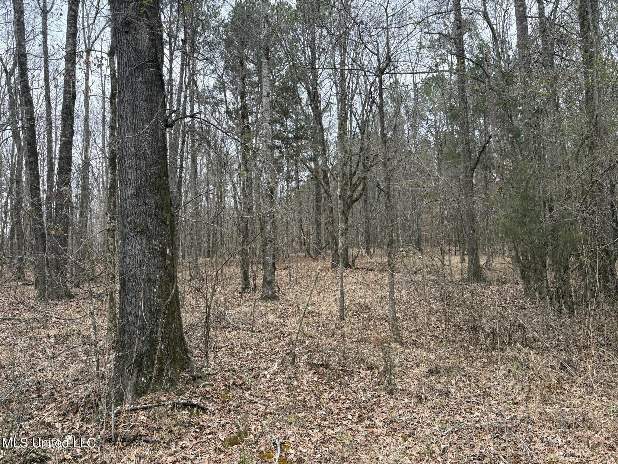 County Road 2211 Property Photo 4