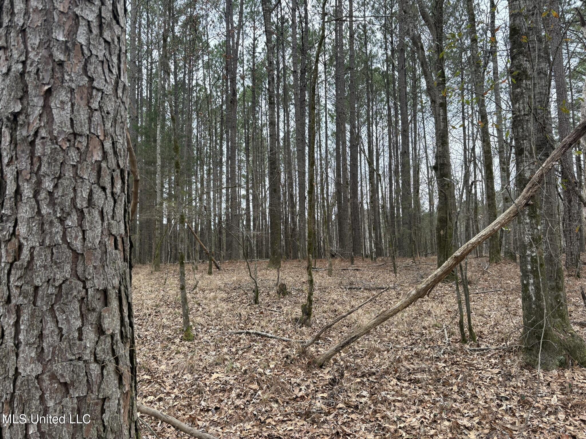 County Road 2211 Property Photo 5