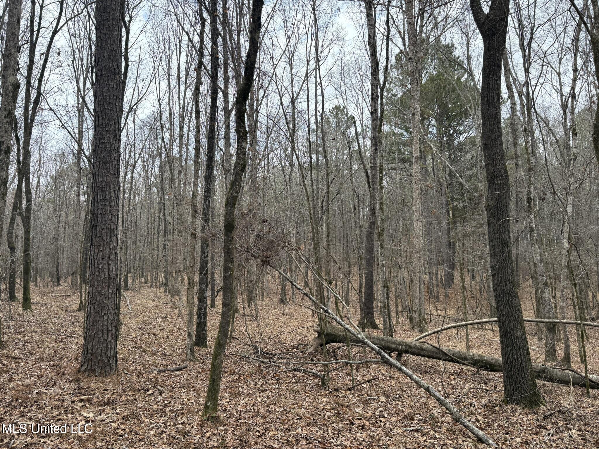 County Road 2211 Property Photo 6