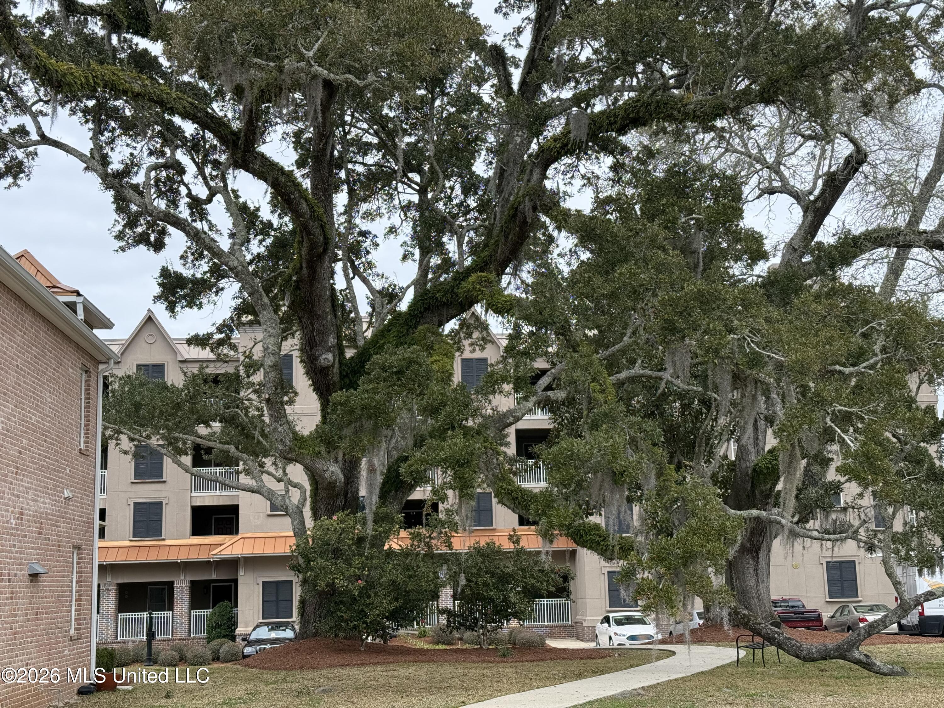 414 Elegans Court Property Photo 6