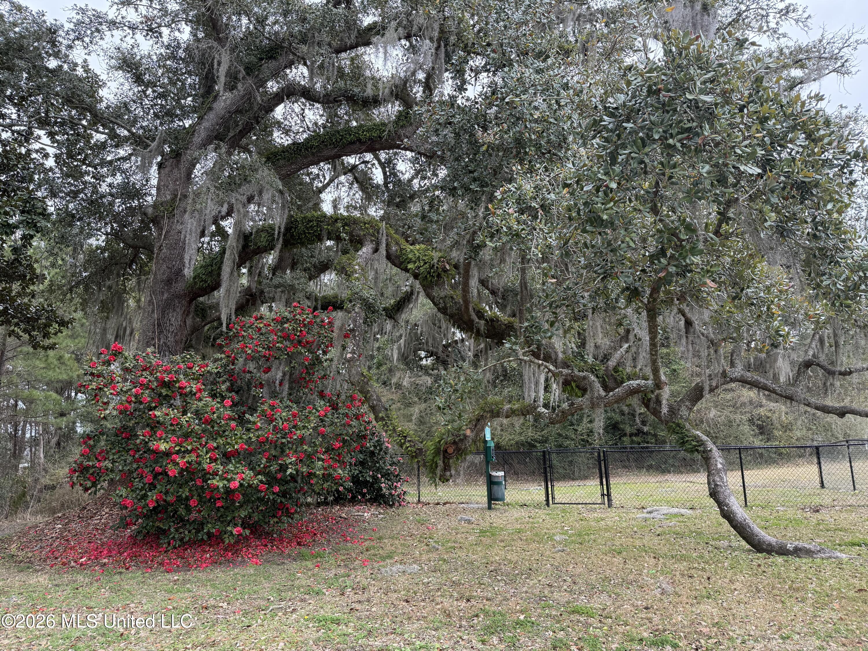 414 Elegans Court Property Photo 41