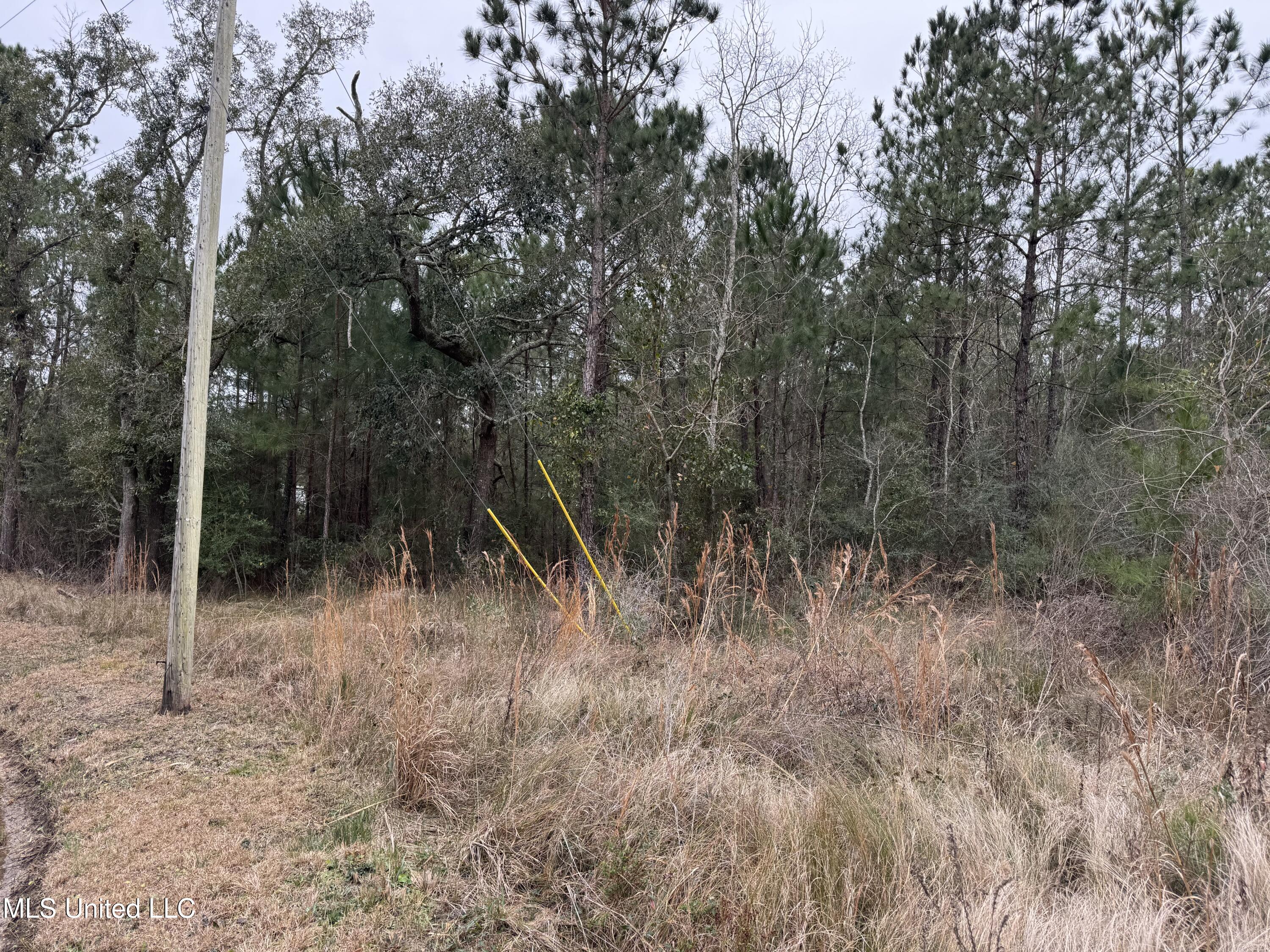 0 Cooper St/ River Dr Property Photo 2