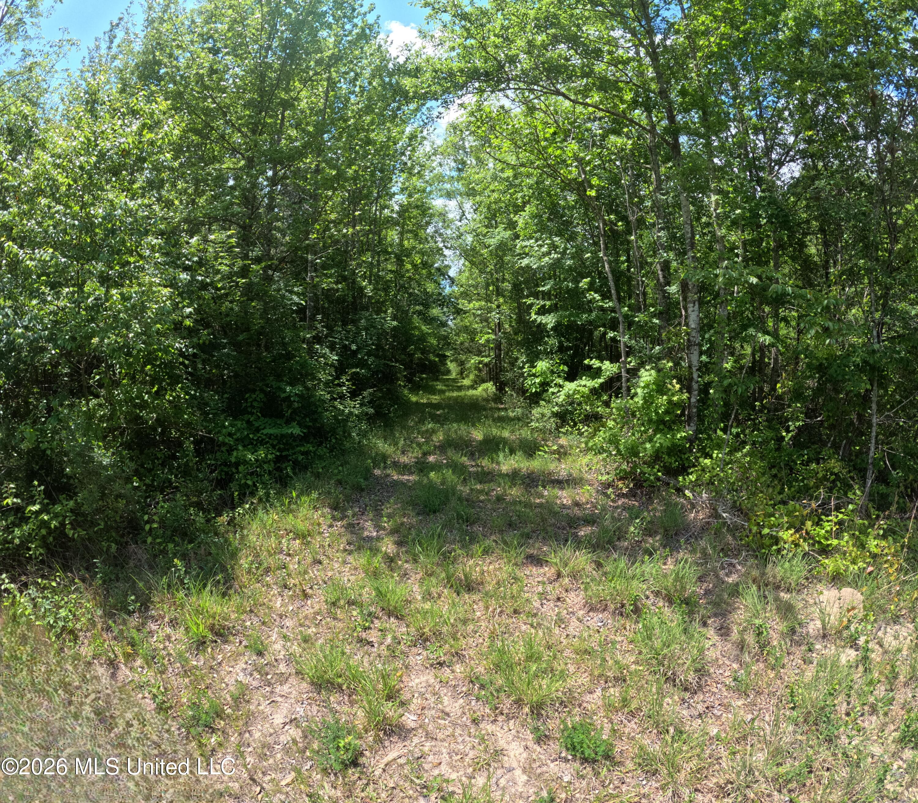 Christian Hts Road Property Photo 16