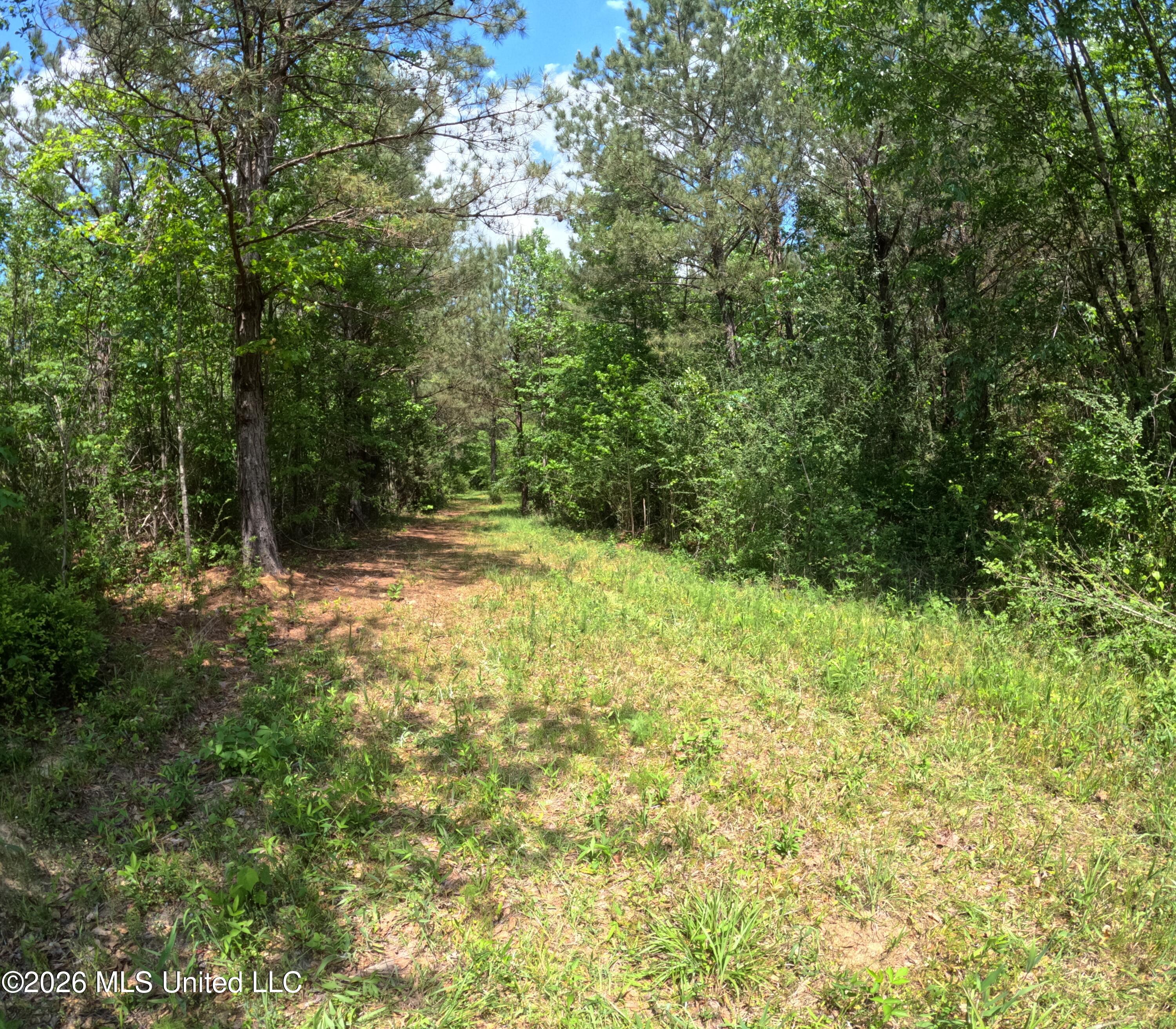 Christian Hts Road Property Photo 23
