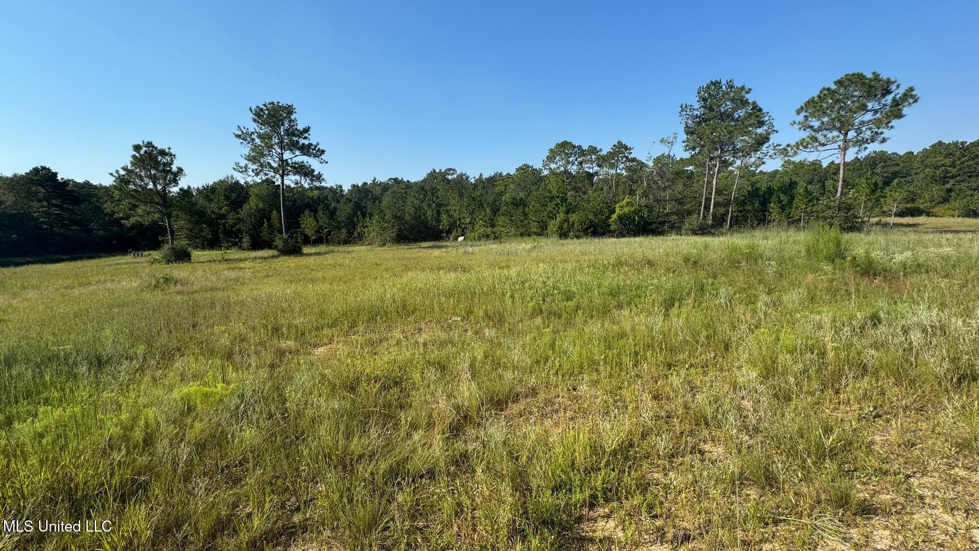 0 Wolf River Road Property Photo 1