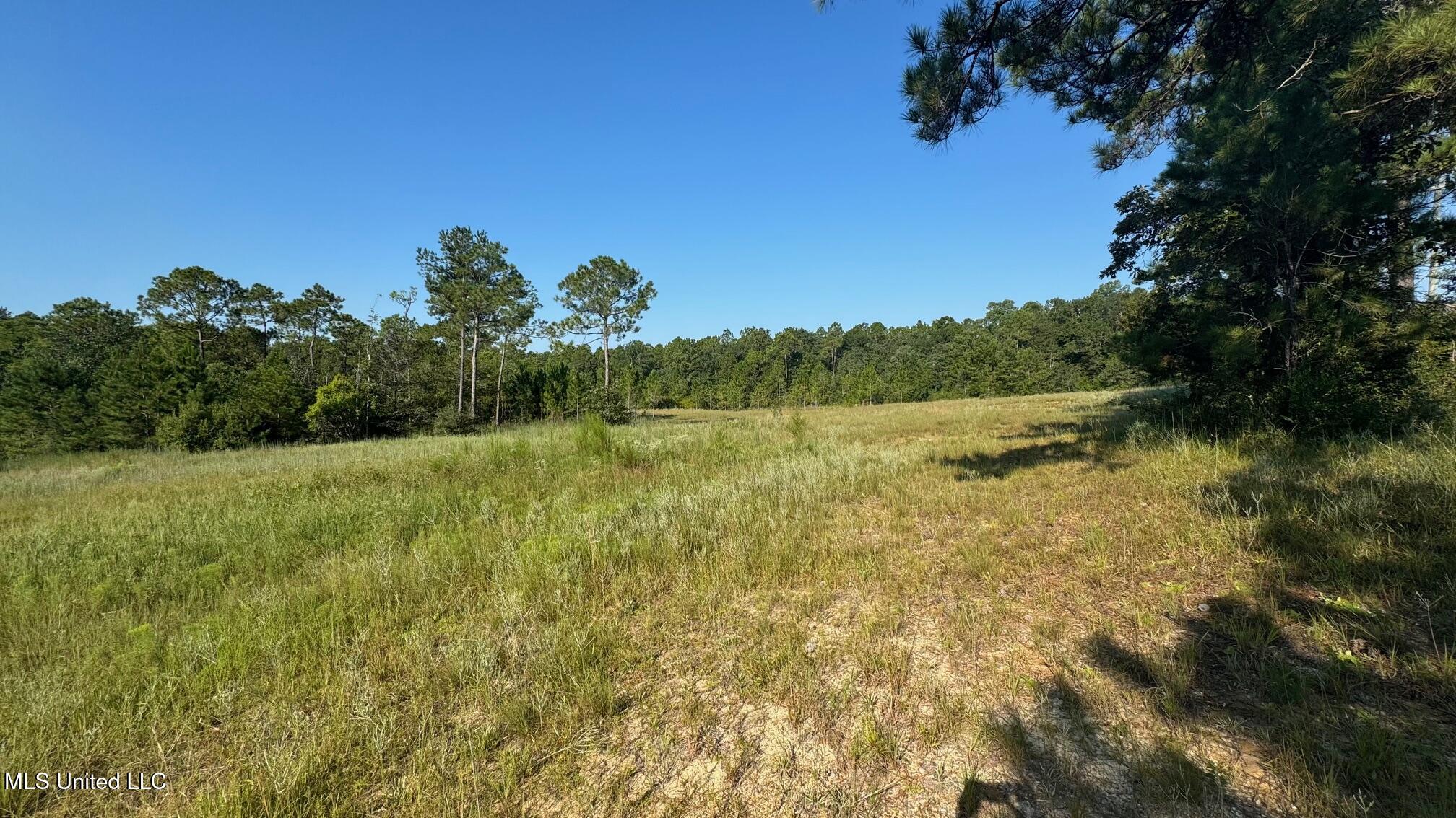 0 Wolf River Road Property Photo 2