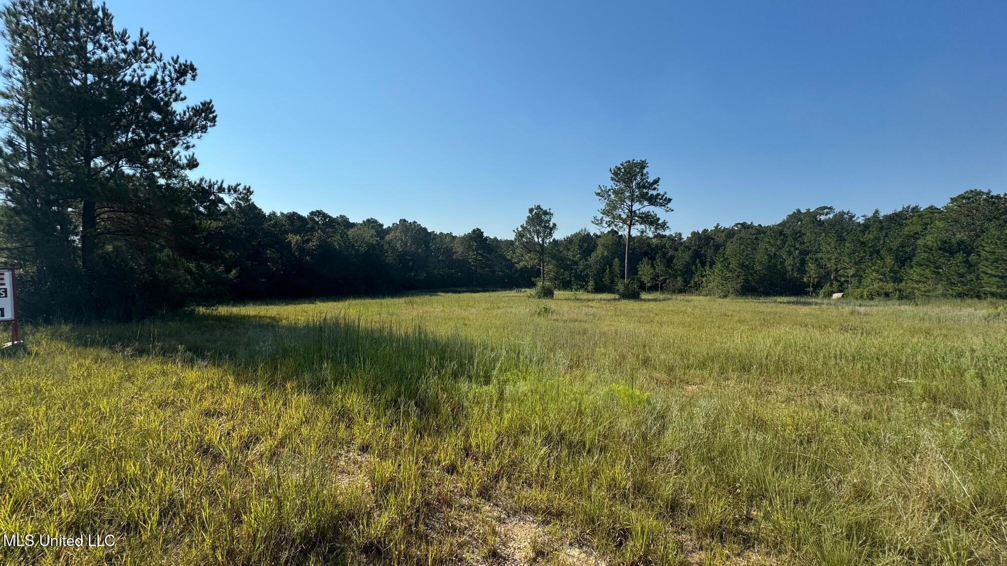 0 Wolf River Road Property Photo 3