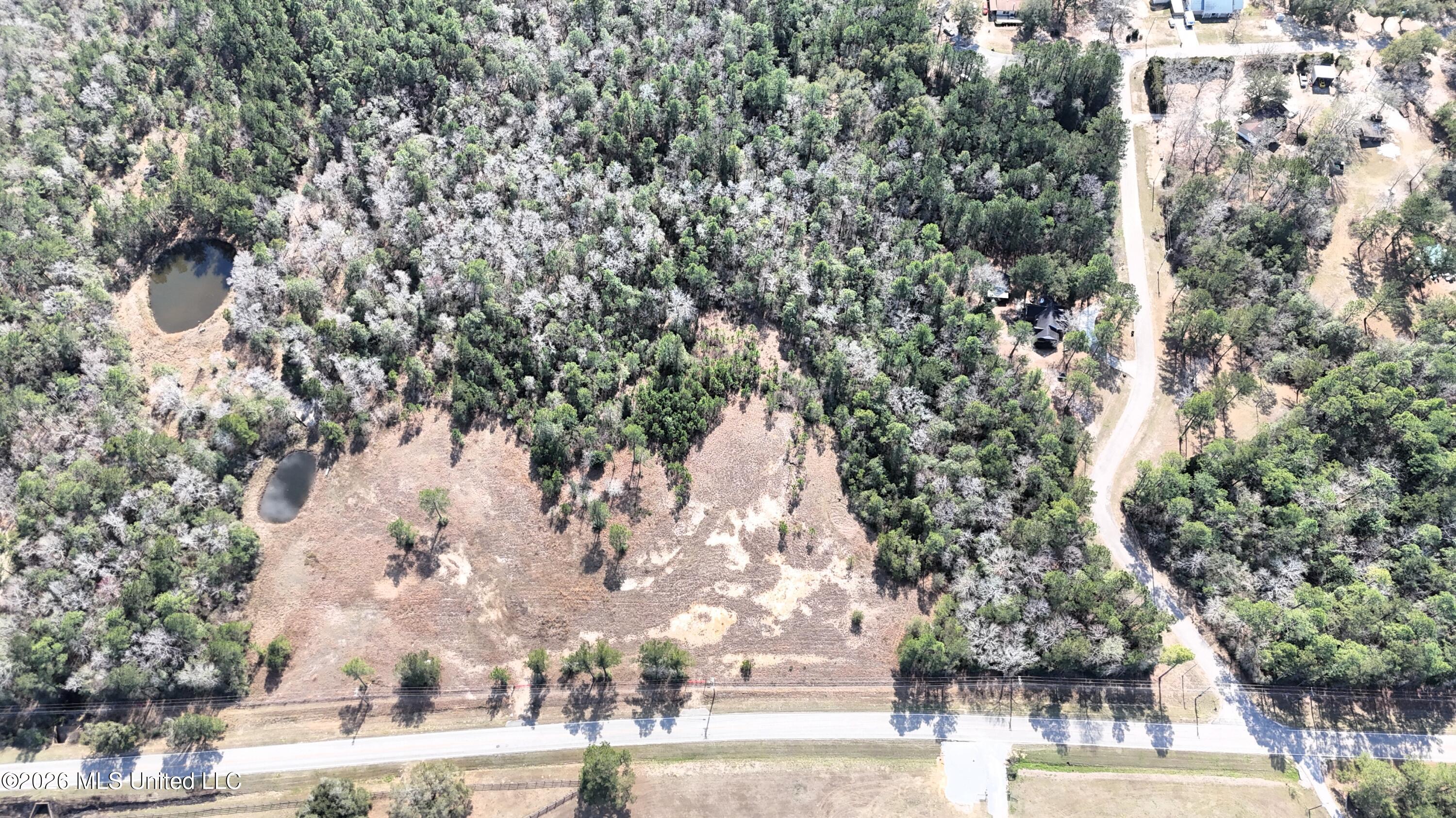 0 Wolf River Road Property Photo 6
