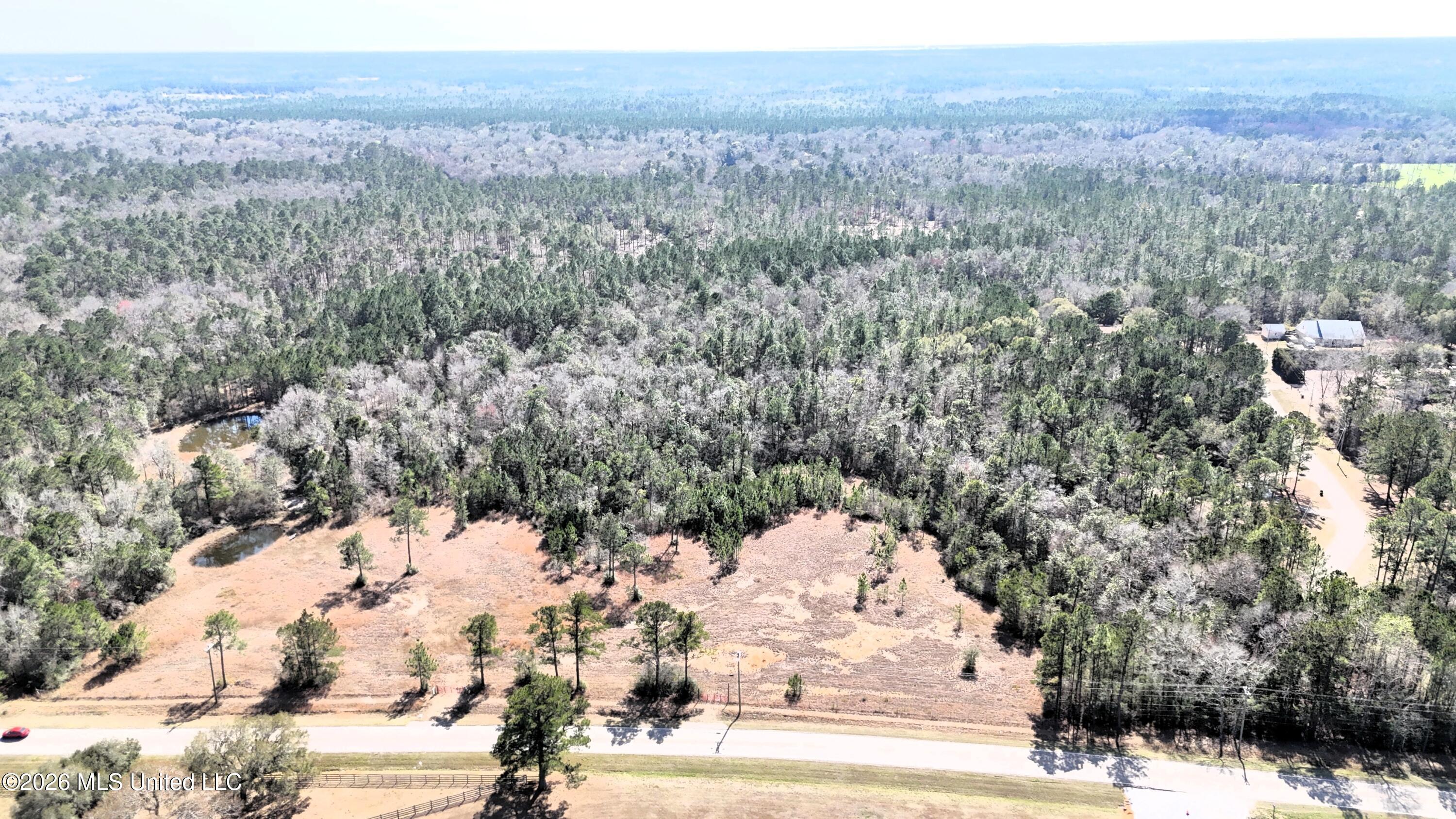 0 Wolf River Road Property Photo 19